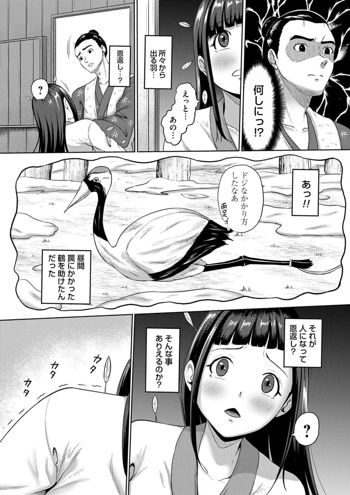 ドジっ子鶴のえっちな恩返し 2ページ