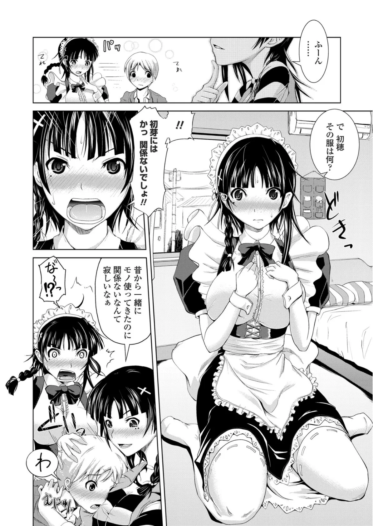 初穂と初芽の境界条件 6ページ