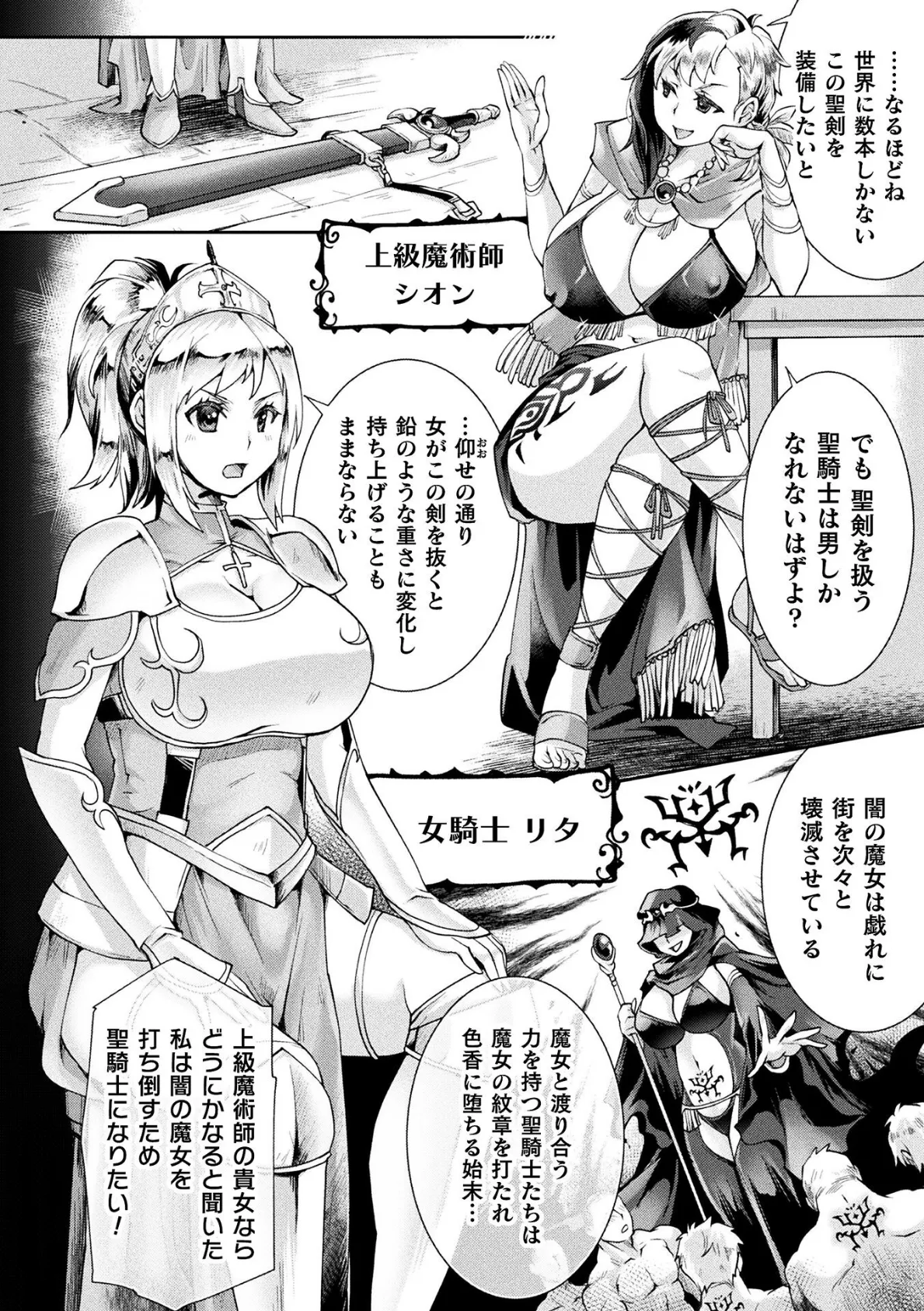 禁断のクラスチェンジ! 聖騎士もヤリたいッ【単話】 2ページ