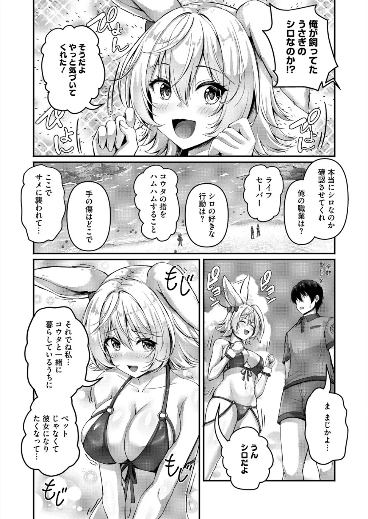 真夏の砂浜のしろうさぎ 5ページ