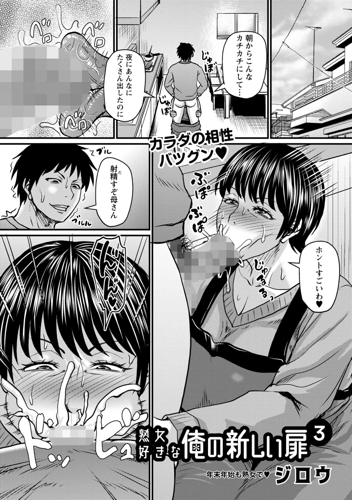 熟女好きな俺の新しい扉3