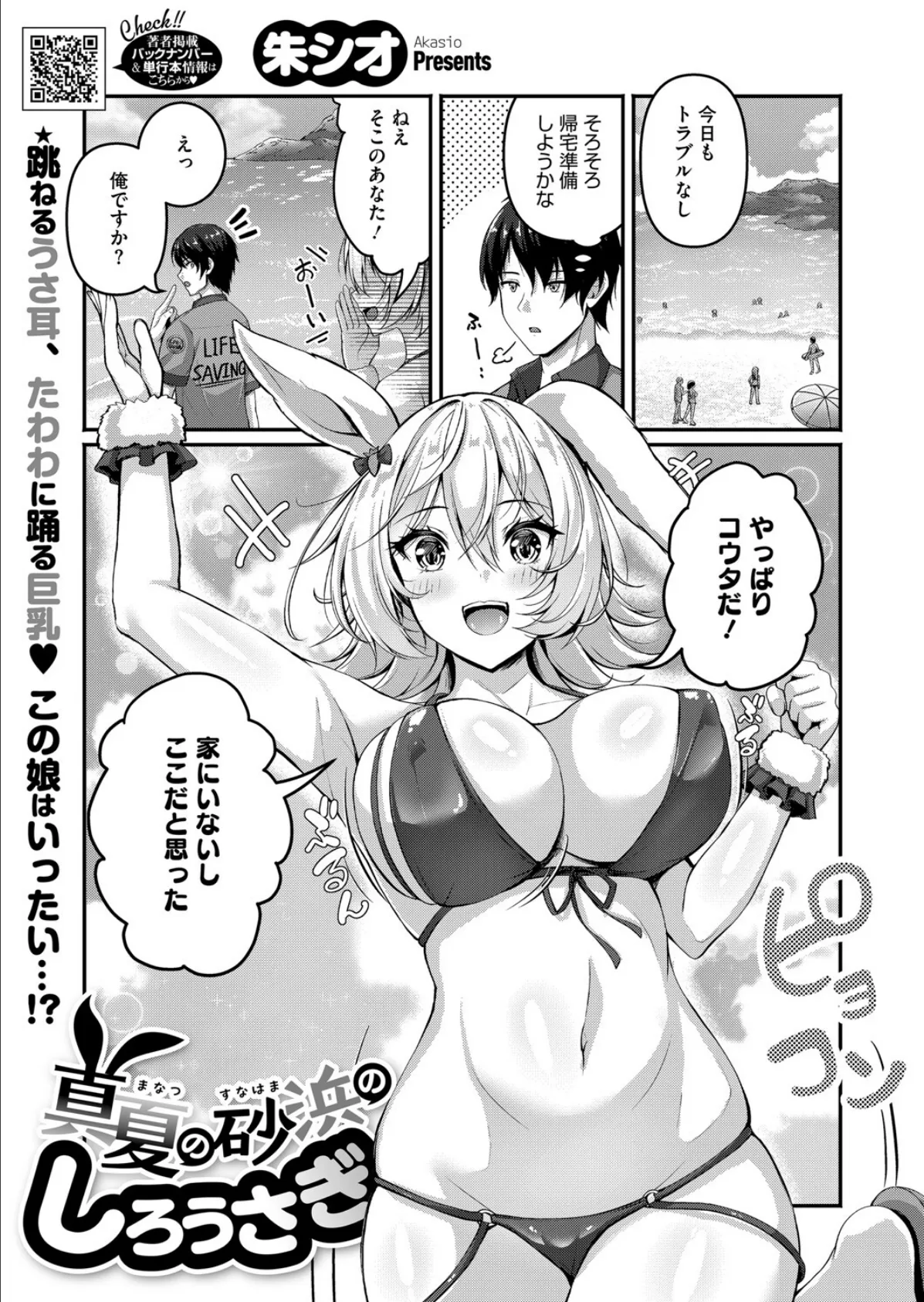 真夏の砂浜のしろうさぎ